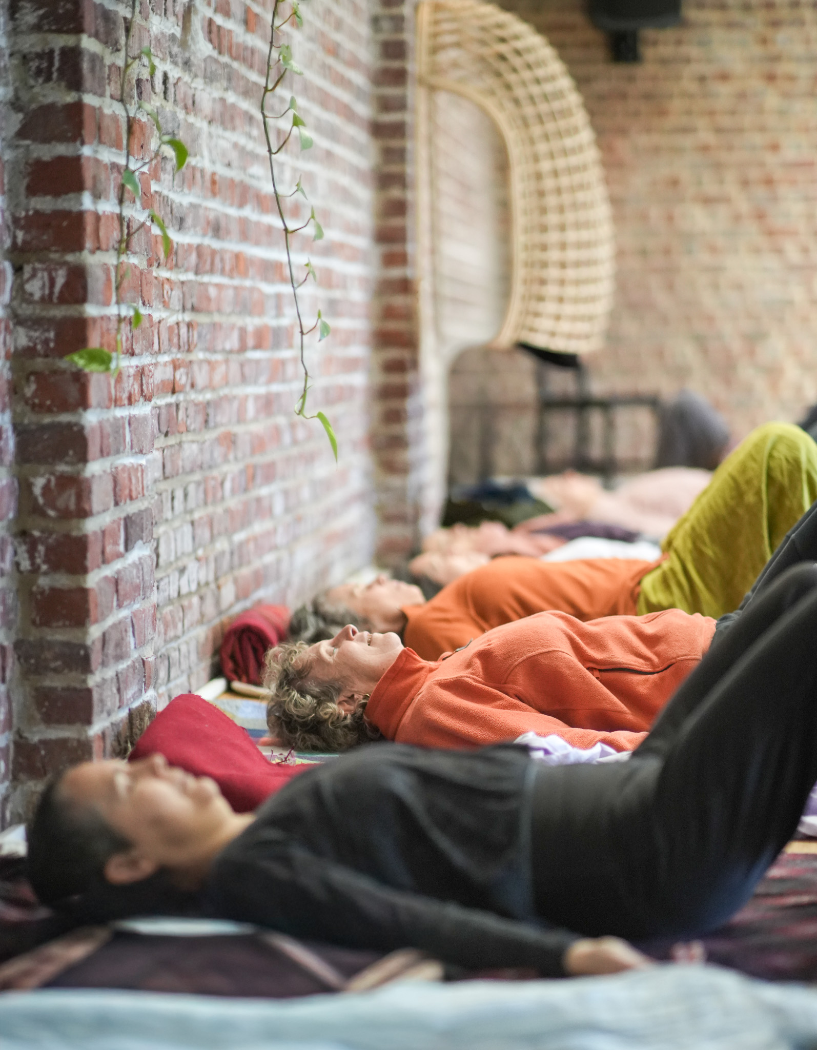 Bones for Life® – Certificate Program