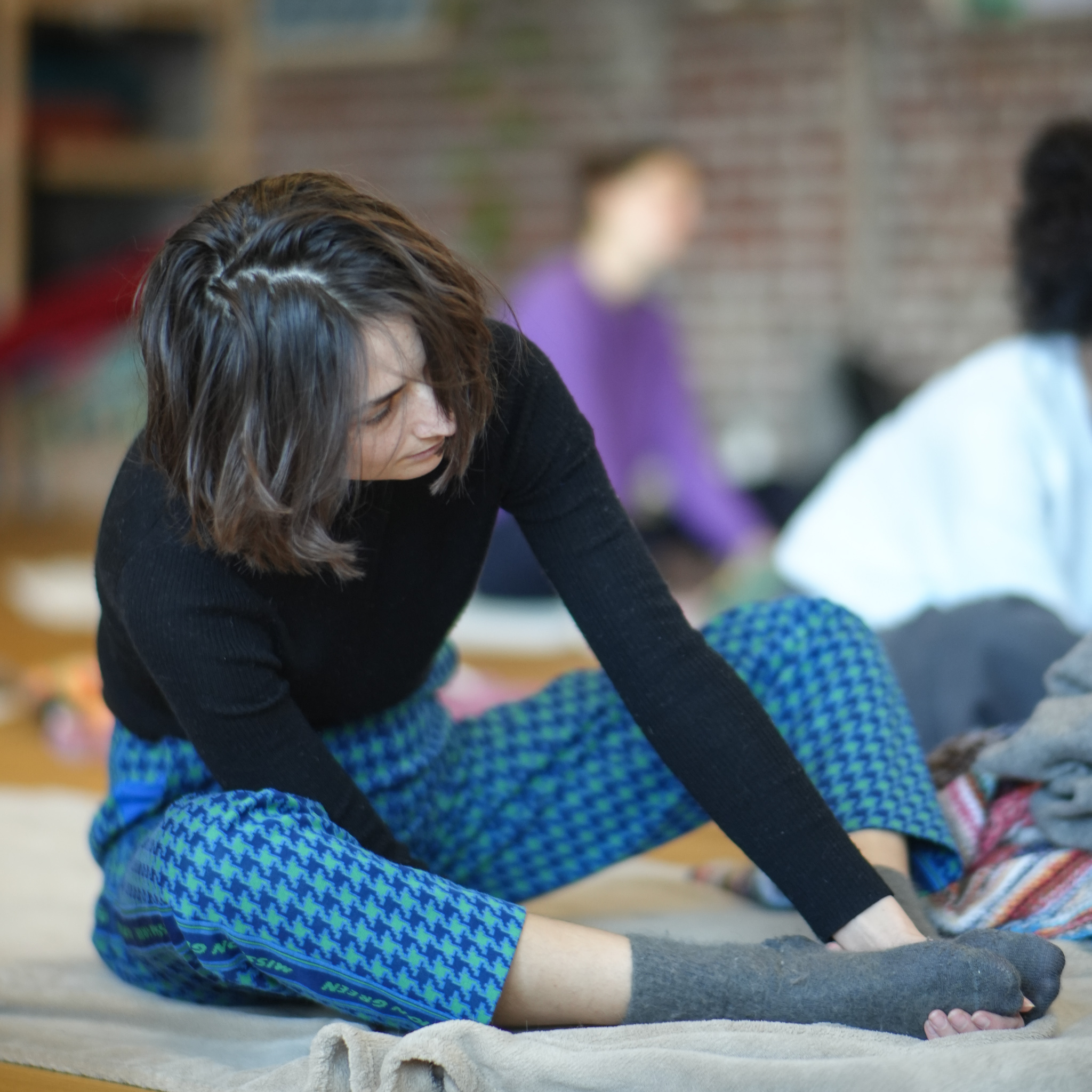 Introduction to the Feldenkrais Professional Training®